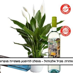 מארז ספטיפיליום לבן